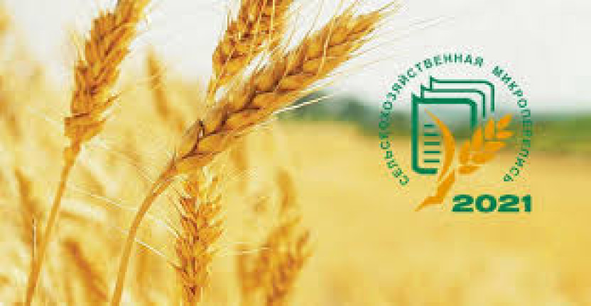 Микроданные о сельском хозяйстве России станут доступны через год